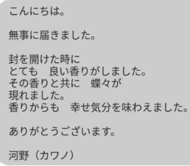 百年白蛇皮お守り　霊山陰陽師手作りパワー金運良い人生厄除け白蛇皮お守り美しく艶最大波動お守り_画像5