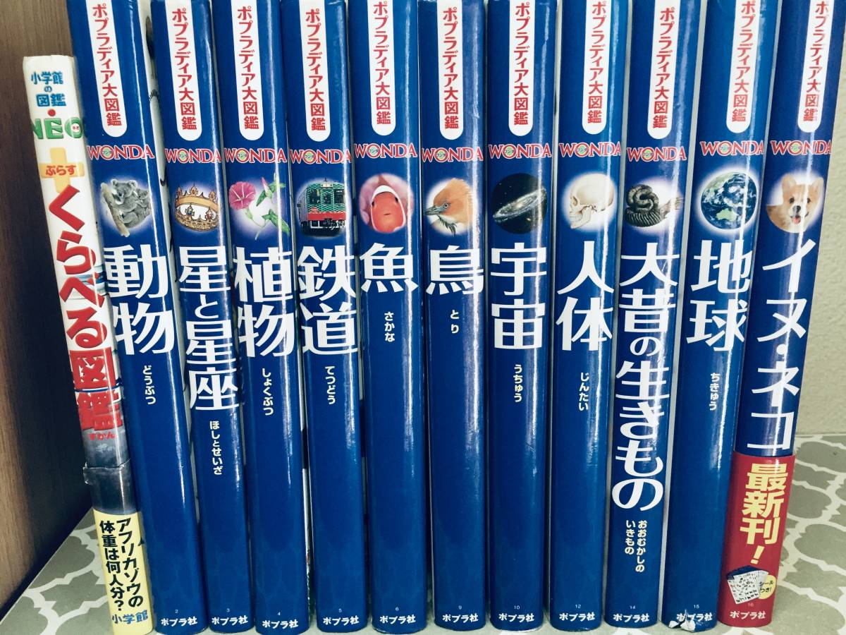 小学館の図鑑NEO くらべる図鑑+ポプラディア大図鑑WONDA ワンダ 12冊