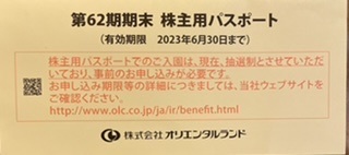 東京ディズニーリゾート　パスポート(株主優待　有効期限2023/06/30) 1枚_画像2
