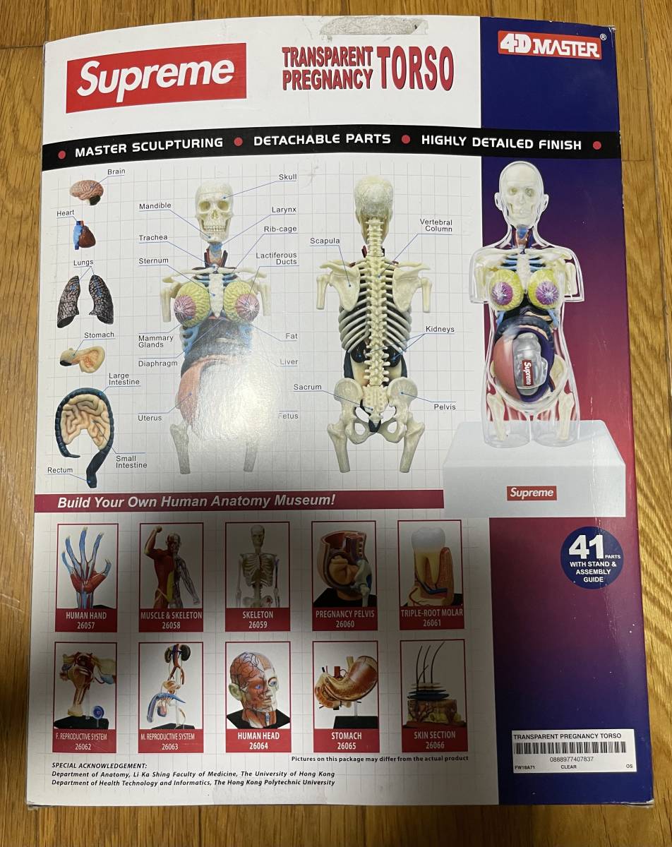 希少!!】 18AW supreme anatomy 人体模型 アナトミー シュプリーム ...
