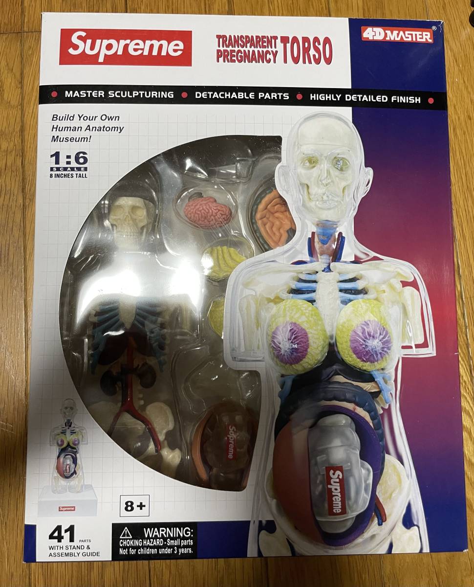 シュプリーム SUPREME 18AW Female Anatomy Model 人体模型 シュプリーム SUPREME 18AW Female Anatomy Model 人体模型