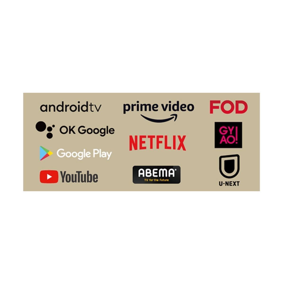 24型 Android TV機能搭載 フルHD チューナーレススマートテレビ