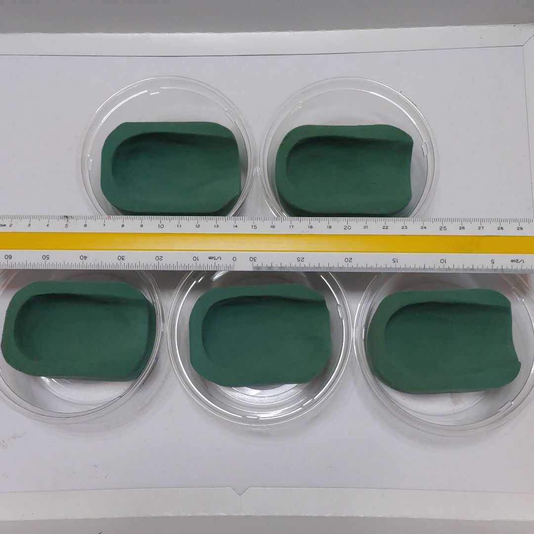 メール便対応! 専用出品 人工蛹室20個! | cefnb.ca