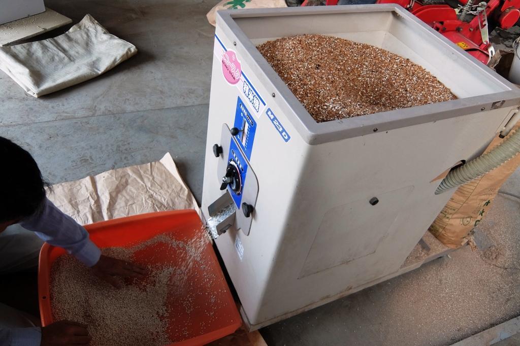 ハトムギ農家の手作り精白はとむぎ　1kg_自家製ではとむぎを精白