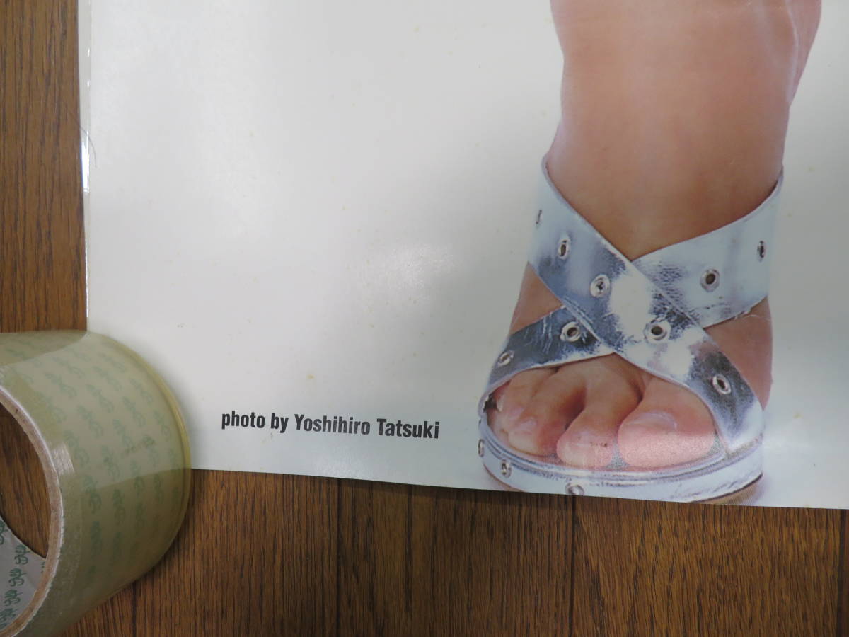 等身大ポスター 井上和香 品 | www.schmetterlinghaus.at