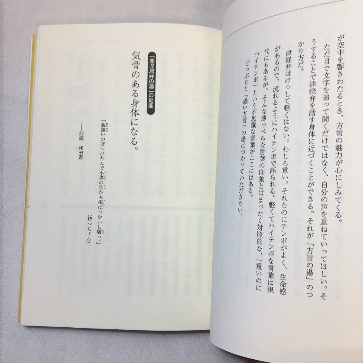 zaa-358♪ＣＤブック　声に出して読みたい方言 斎藤 孝【著】 草思社（2004/02発売）_画像6