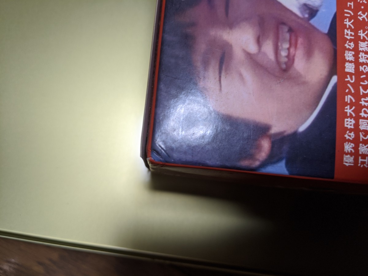 炎の犬 DVD-BOX〈5枚組〉 | contifarma.pe