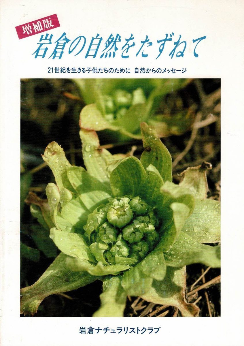 「ふるさとの自然をみよう 社寺林の植物たち 西三河」H7 中部自然環境調査研究会編 中部電力発行 A4判 29p 愛知県_画像1