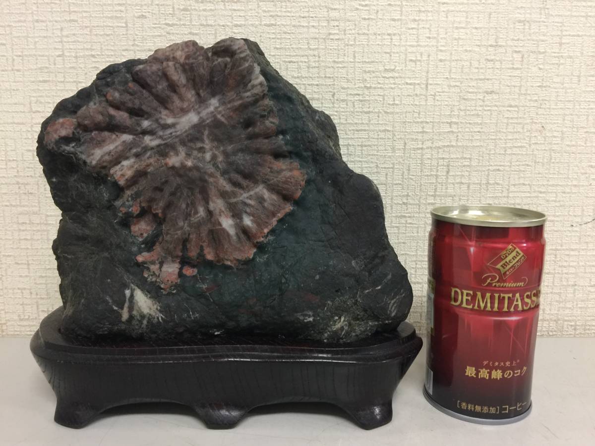 26400円買う の が 安い 【古着屋withさま専用】 記録級の桜花 ☆桜石