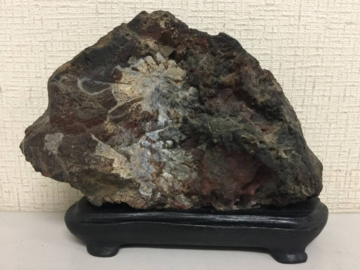 菊花石鑑賞石重さ1.78kg 高さ約14.5cm 水石原石模様石花紋石盆石名石