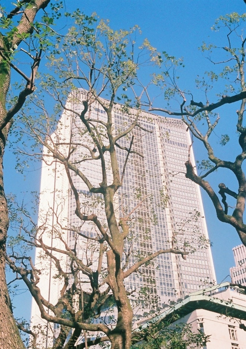 OLYMPUS PEN EF フィルムカメラ ハーフサイズカメラ 作例付き OLYMPUS PEN EF フィルムカメラ ハーフサイズカメラ 作例付き