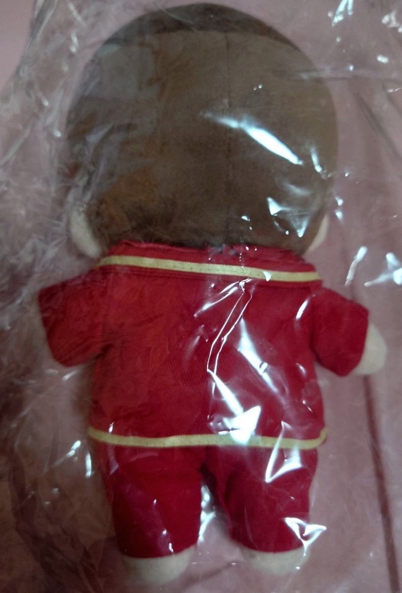 SEVENTEEN セブチ ウォヌ wonwoo 20cm ぬいぐるみ 新品 | michiemee.ca