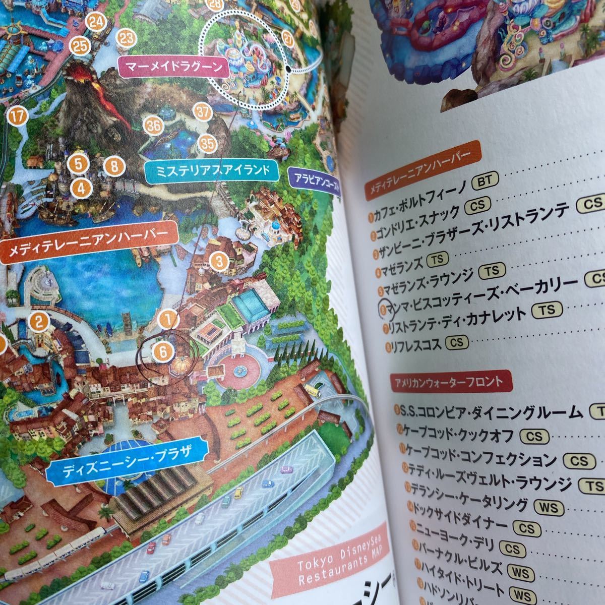 Paypayフリマ 東京ディズニーリゾート行くまえに 知っとくガイド ２０２２