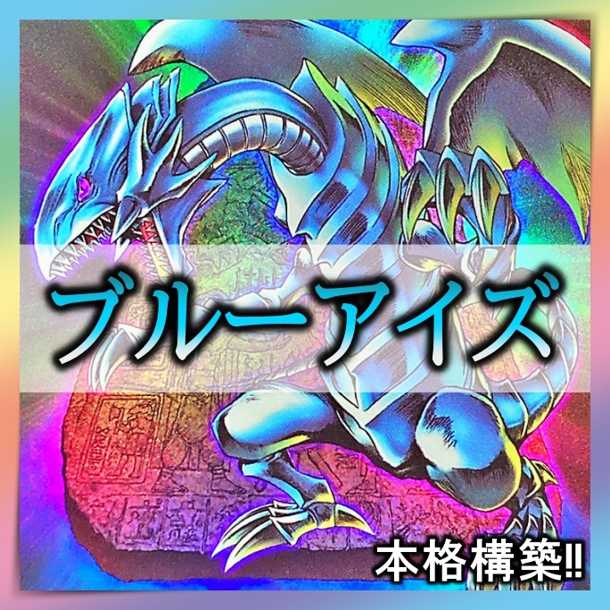 遊戯王 No.31 ブルーアイズ デッキ 40枚+EX15枚 遊戯王 本格構築 青眼 日本通販売 遊戯王 ブルーアイズデッキ 本格構築 遊戯王