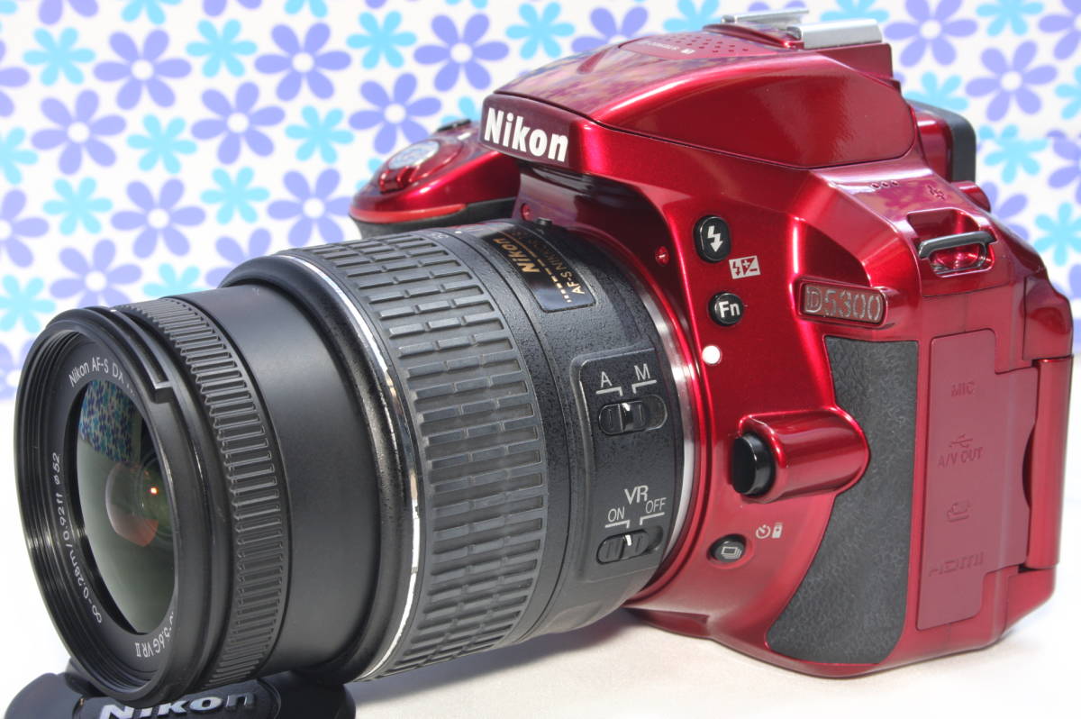 極上美品☆Nikon ニコン D5300☆Wi-Fi機能搭載☆高画質・高性能