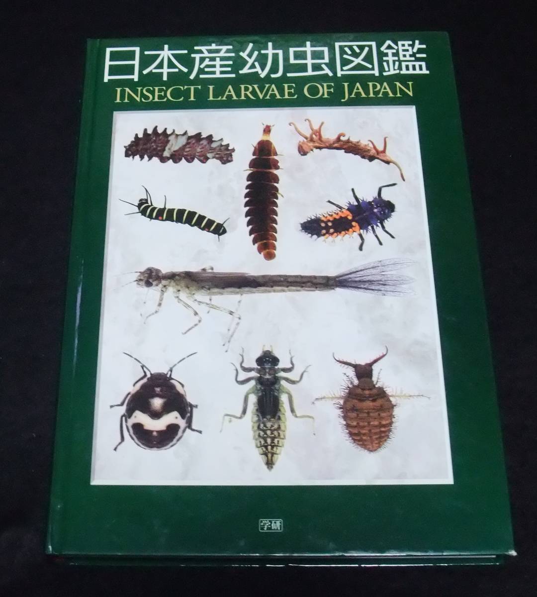 [ Япония производство личинка иллюстрированная книга ] INSECT LARVAE JAPAN