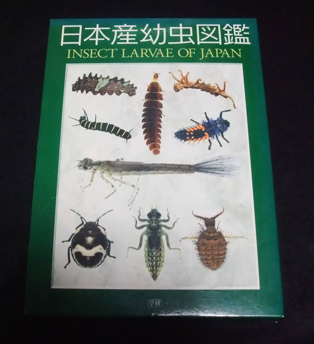 『日本産幼虫図鑑』 INSECT LARVAE JAPAN