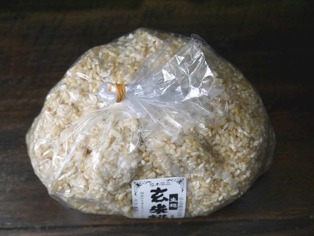 【おたまや】玄米麹 生麹（1kg）_画像1