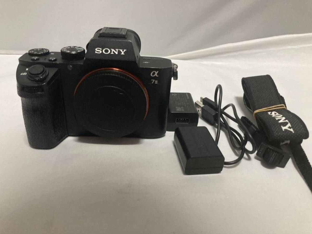 世界的に ソニー 【完動美品】超人気！ SONY ILCE-7M2 ボディ II α7