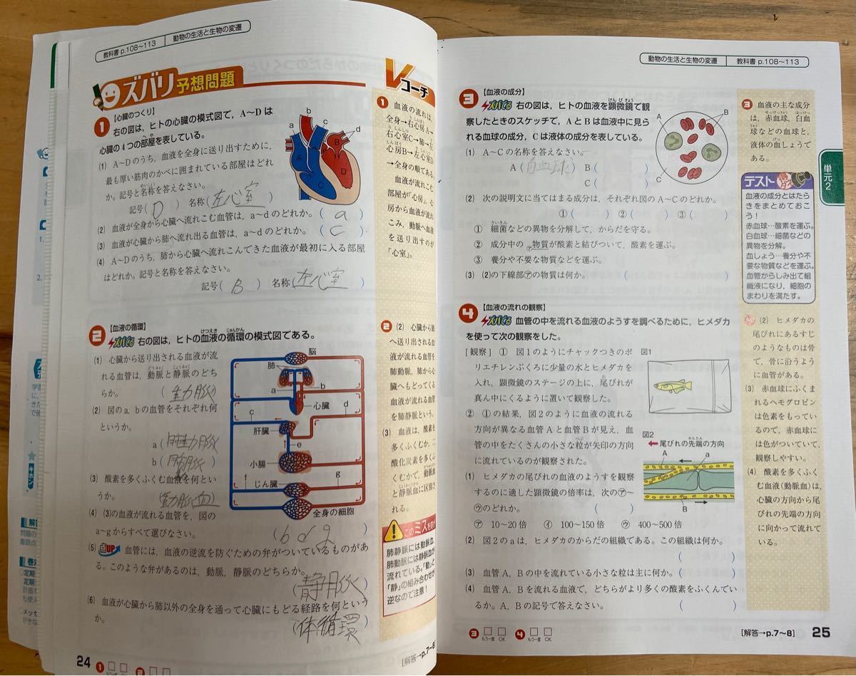 Paypayフリマ 問題集 中間 期末テストズバリよくでる 理科 2年 予想テスト付き おまけに付き Paypayフリマ 問題集 中間 期末テストズバリよくでる 理科 2年 予想テスト付き おまけに付き