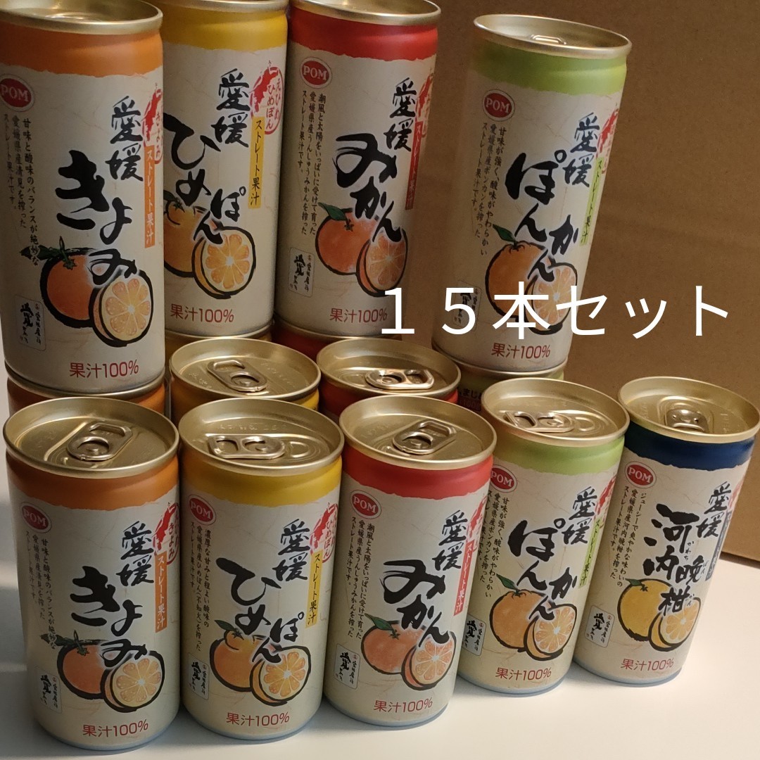 愛媛  柑橘  ストレート100%　190g×１５本セット