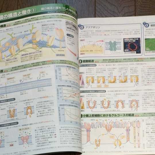 スクエア　最新図説生物　neo 理科