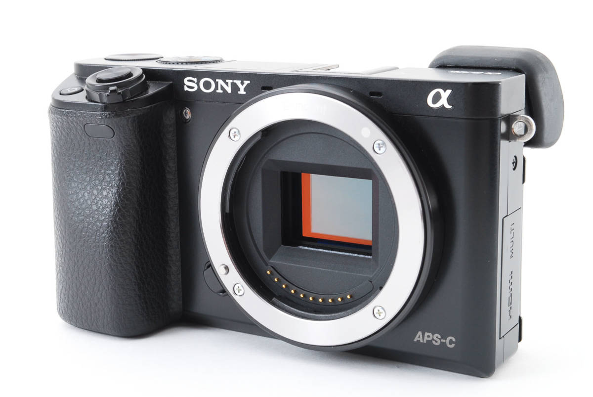 大人気好評 SONY α6000（ILCE-6000）ボディ 美品 付属品完備＋撮影