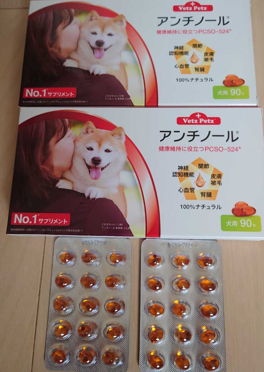 うのにもお得な情報満載！ 犬用アンチノール90カプセル入×6箱セット waldbaums.com