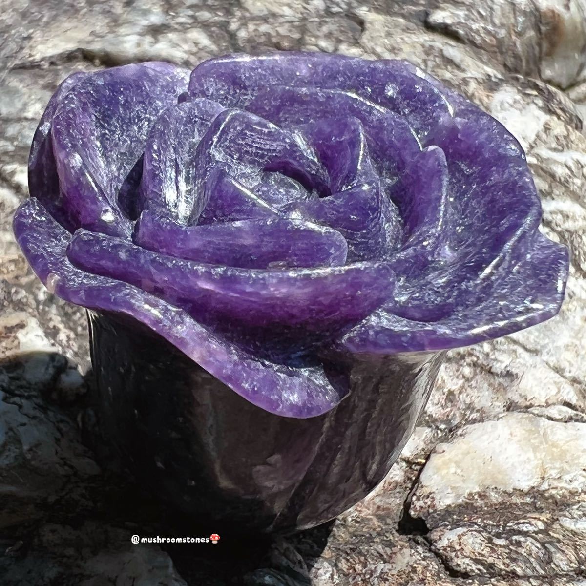 ダークパープル レピドライト ローズ 一輪花 紫薔薇 ☆銀河満天星☆