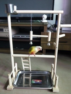 PYD456★オウもインコムににも♪ 木スタ止まりンド 遊び場 ペット 文鳥 おハシゴもちゃ 鳥 木製 玩具 アチッスレク_画像4