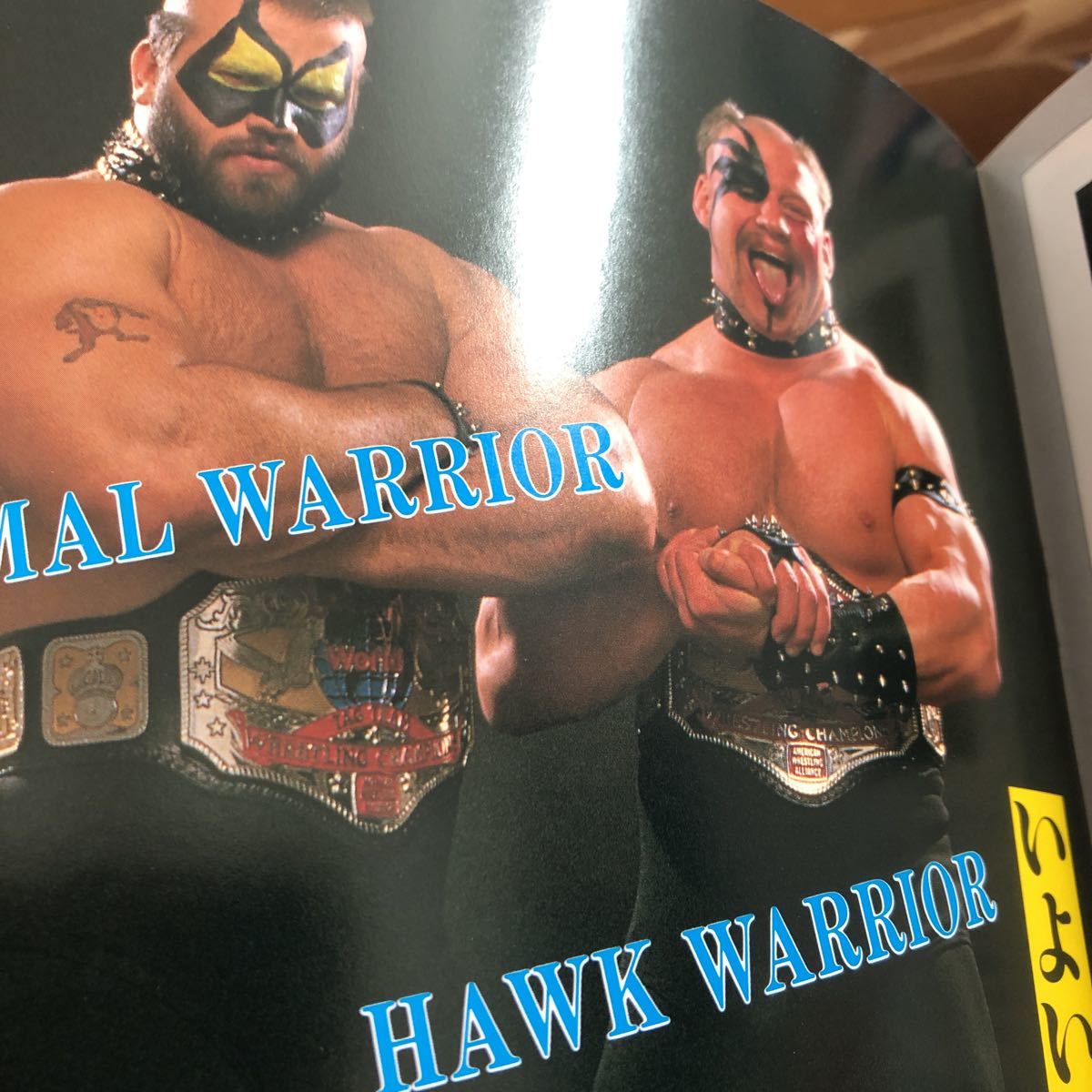 NWA AWAチャンピオン統一戦フレアー対マーテルパンフ全日本プロレス ロードウォーリーアーズ　マスカラス_画像5