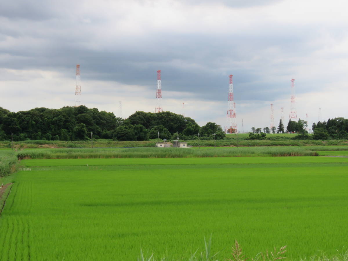 令和3年茨城県産コシヒカリ　玄米 10㎏　農家直送　低温貯蔵庫　　　　送料無料　_画像4
