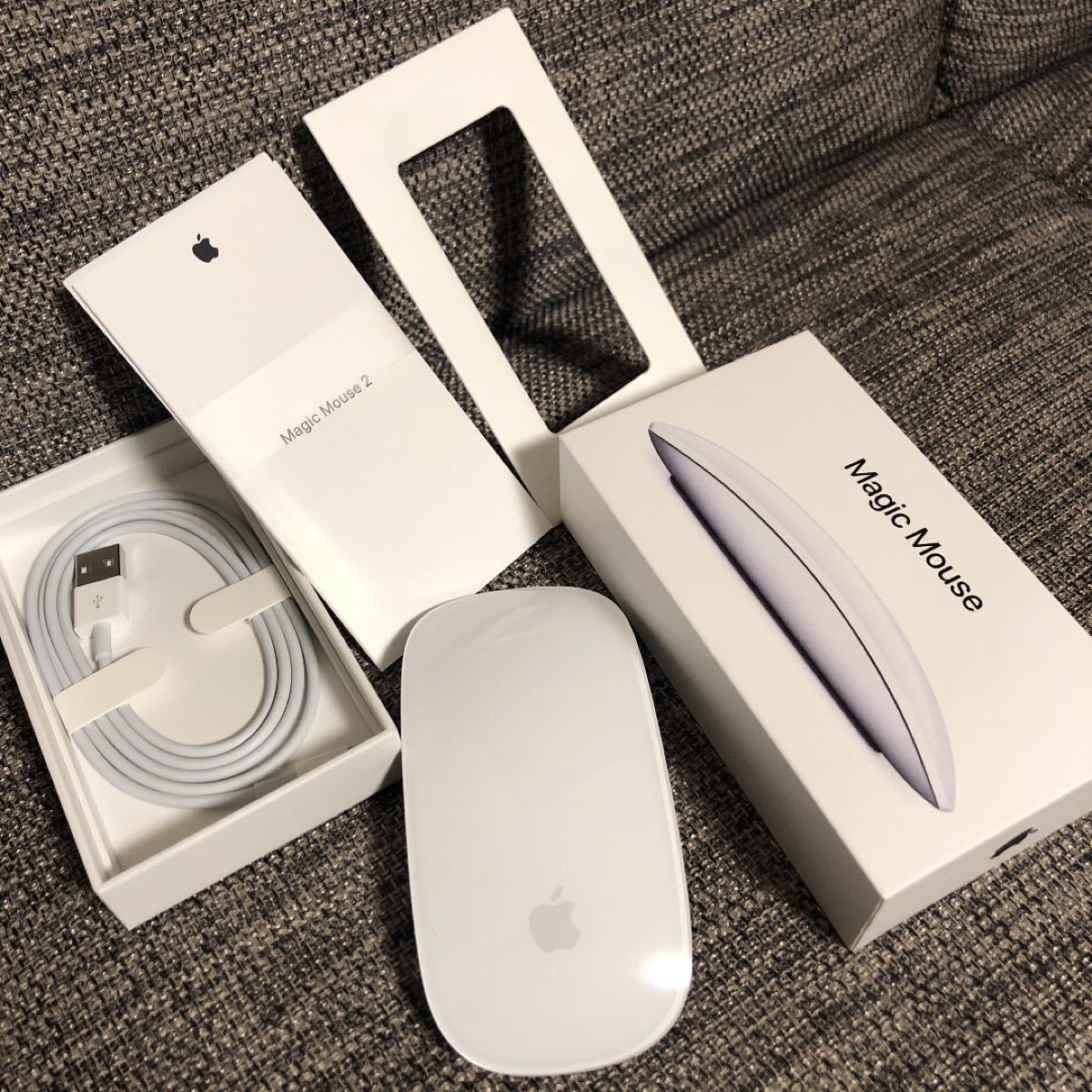 APPLE MAGIC MOUSE 2 アップル　マジックマウス2 Apple Magic Mouse マジックマウス2