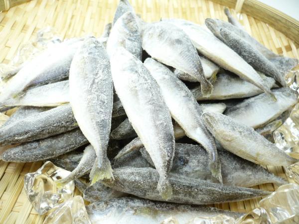 5 Off から揚げ 天ぷら フライにも 冷凍まめあじ 豆アジ Www Direcauto Net 5 Off から揚げ 天ぷら フライにも 冷凍まめあじ 豆アジ Www Direcauto Net