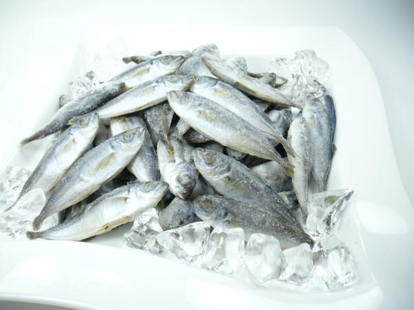 5 Off から揚げ 天ぷら フライにも 冷凍まめあじ 豆アジ Www Direcauto Net 5 Off から揚げ 天ぷら フライにも 冷凍まめあじ 豆アジ Www Direcauto Net