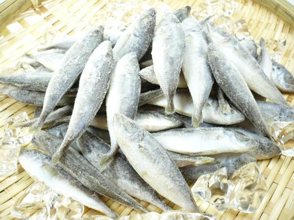 5 Off から揚げ 天ぷら フライにも 冷凍まめあじ 豆アジ Www Direcauto Net 5 Off から揚げ 天ぷら フライにも 冷凍まめあじ 豆アジ Www Direcauto Net