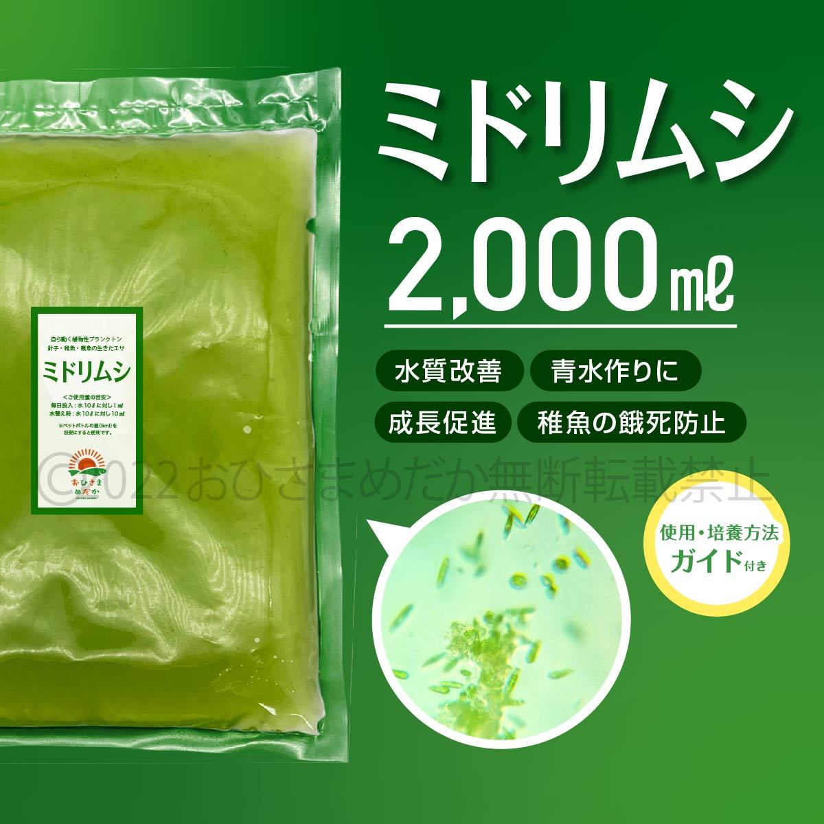 超濃縮　ミドリムシ　2000ml　めだか　メダカ　針子　エサ 稚魚 ベタ　psb　 金魚　ミジンコ　クロレラ　ゾウリムシ の培養ガイド付き_画像1