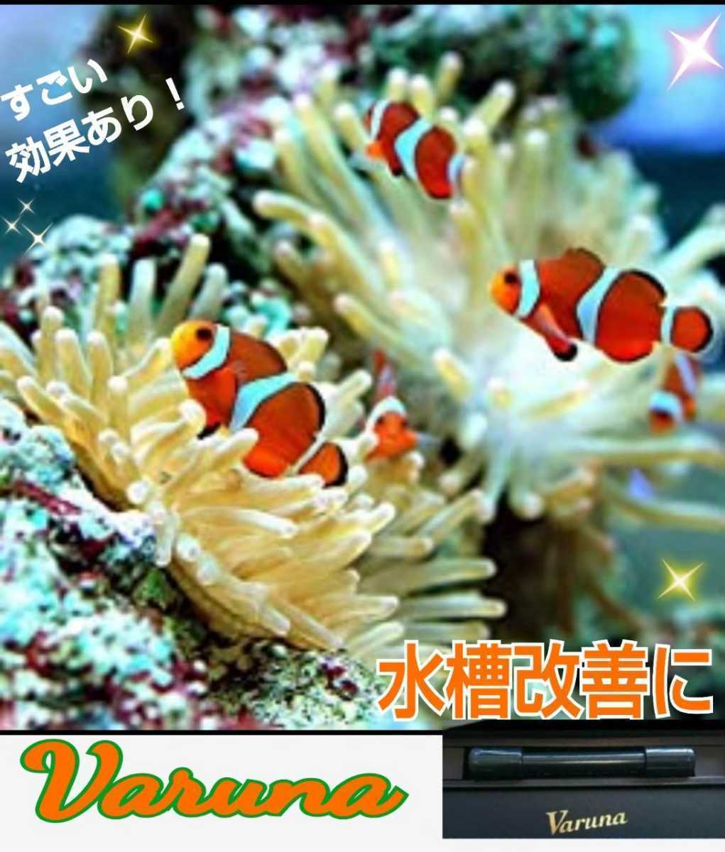 最も完璧な 水槽の水が綺麗になります【ヴァルナ8㎝】水替え不要で透明度を抜群に保ちます!有害物質や病原菌も強力抑制!魚が元気に長生きします! 水中式 最も完璧な 水槽の水が綺麗になります【ヴァルナ8㎝】水替え不要で透明度を抜群に保ちます!有害物質や病原菌も強力抑制!魚が元気に長生きします! 水中式