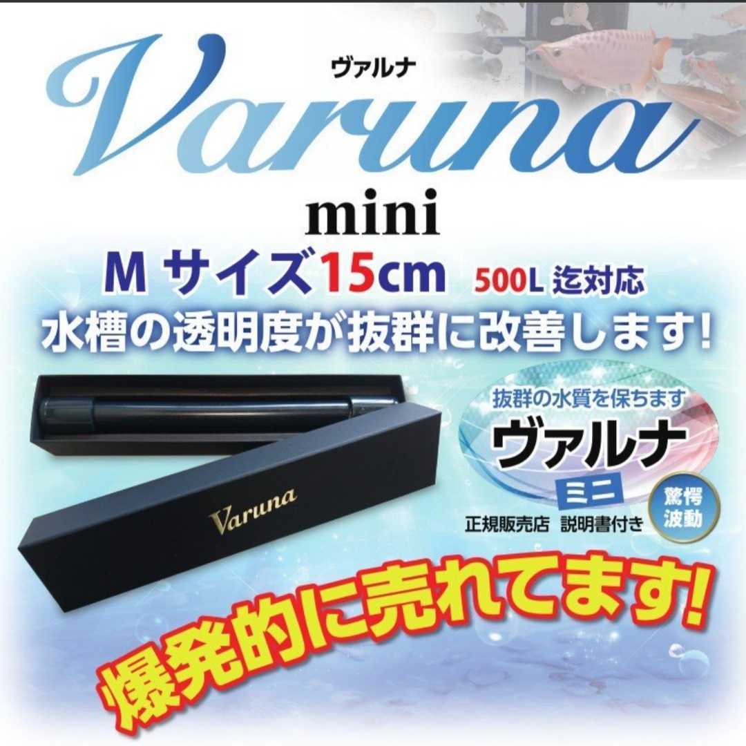 ベビーグッズも大集合 水槽の水が綺麗になります【ヴァルナ15㎝】水替え不要で透明度を抜群に保ちます!有害物質や病原菌も強力抑制☆魚が元気に長生きします! カルキ抜き ベビーグッズも大集合 水槽の水が綺麗になります【ヴァルナ15㎝】水替え不要で透明度を抜群に保ちます!有害物質や病原菌も強力抑制☆魚が元気に長生きします! カルキ抜き