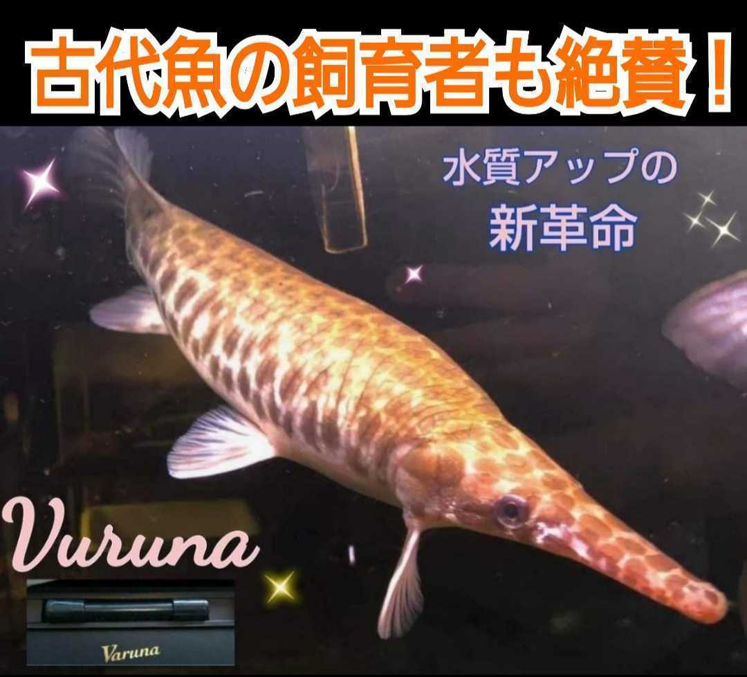 古代魚の飼育者も絶賛！水替え不要になる魔法の筒【ヴァルナミニ23cm】透明度抜群に！有害物質、病原菌も強力抑制！特許400以上の開発者！