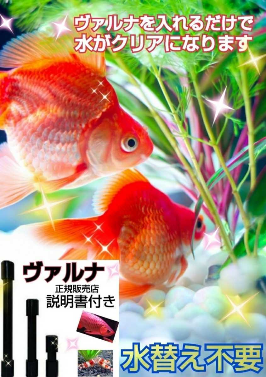 金魚の飼育に最適！水槽の透明度を保ちます！ヴァルナ8cm☆有害物質、病原菌も強力抑制！水替えも不要になります！筒を水槽に入れるだけ！_画像1