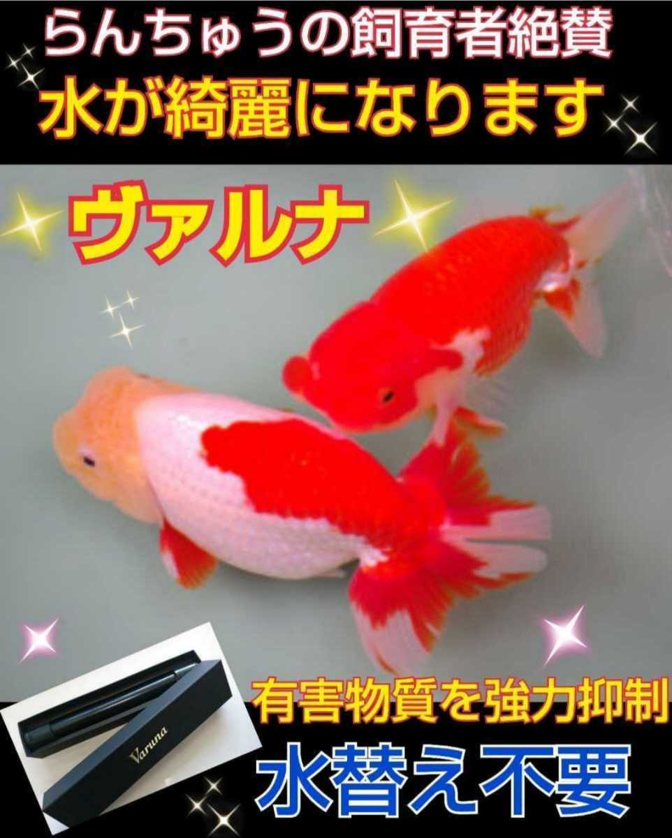 古代魚の飼育者も絶賛！水替え不要になる魔法の筒【ヴァルナミニ23cm】透明度抜群に！有害物質、病原菌も強力抑制！特許400以上の開発者！_画像6