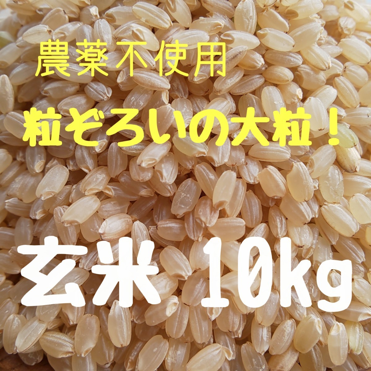 農薬不使用 有機肥料栽培 自然農法 兵庫県産 ヒノヒカリ 玄米 10kg