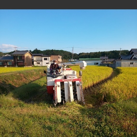 農薬不使用 有機肥料栽培 自然農法 兵庫県産 ヒノヒカリ 玄米 | www