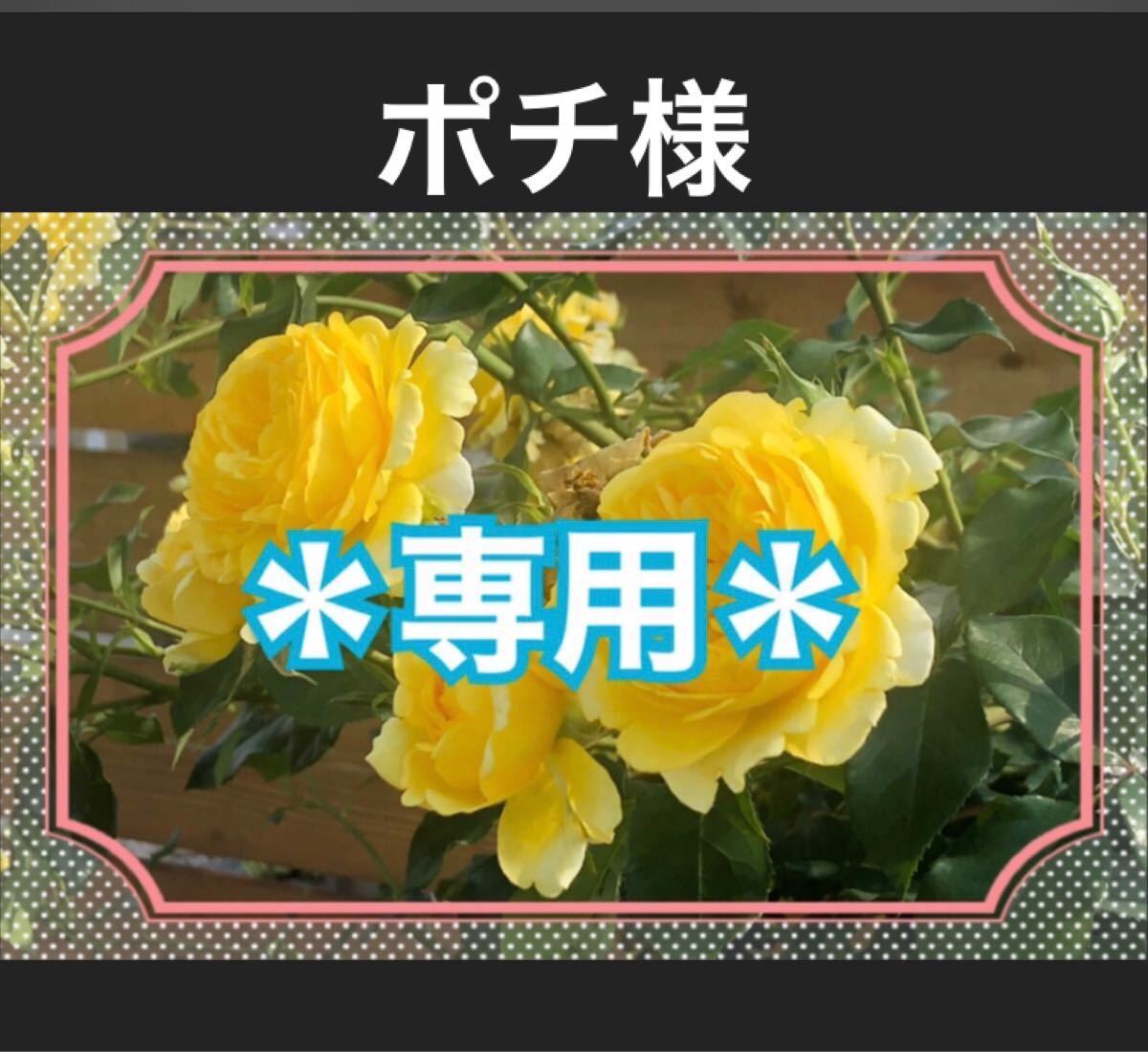 ポチ様専用 cutacut.com
