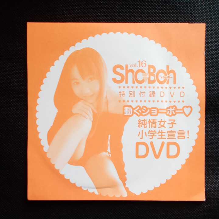 Sho−Boh ショーボー vol.16 アート、エンターテインメント Sho−Boh ショーボー vol.16 アート、エンターテインメント