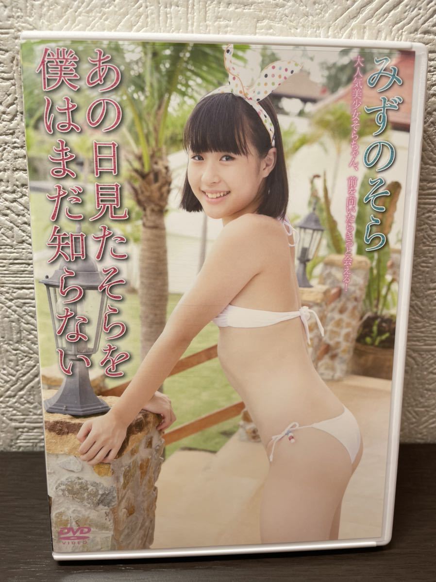 【希少】【廃盤】みずのそら あの日見たそらを僕はまだ知らない DVD イメージ クリエーター ジュニアアイドル JC