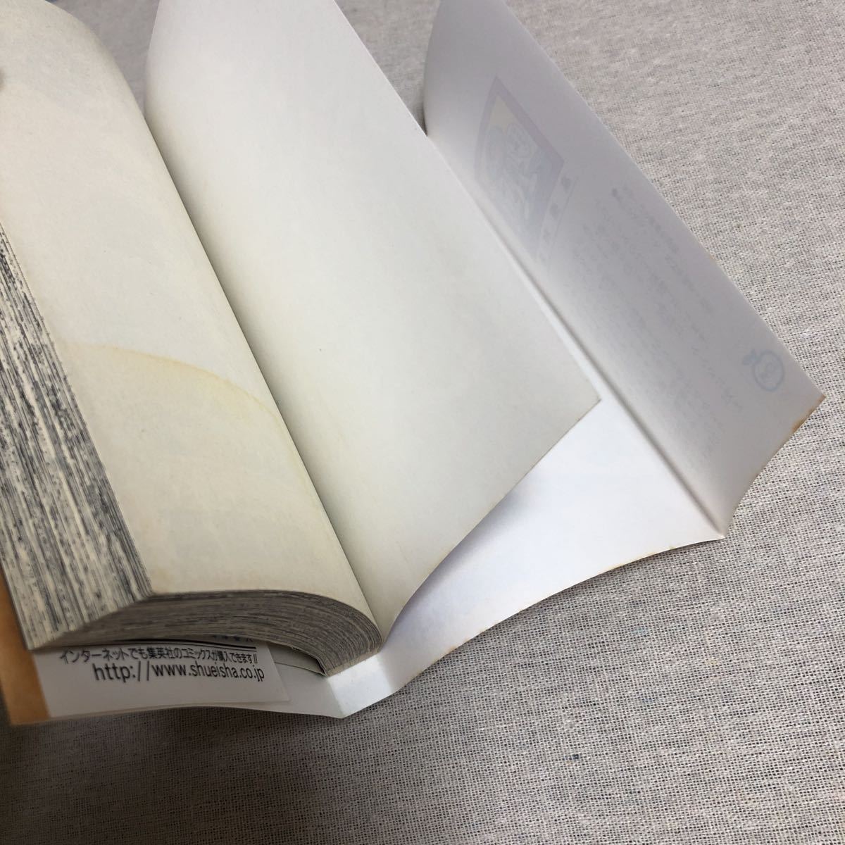 袋とじ開封済み フィルム未開封 初期不良 非売品 ファラオの審判 袋とじ開封済み フィルム未開封 初期不良 非売品 ファラオの審判