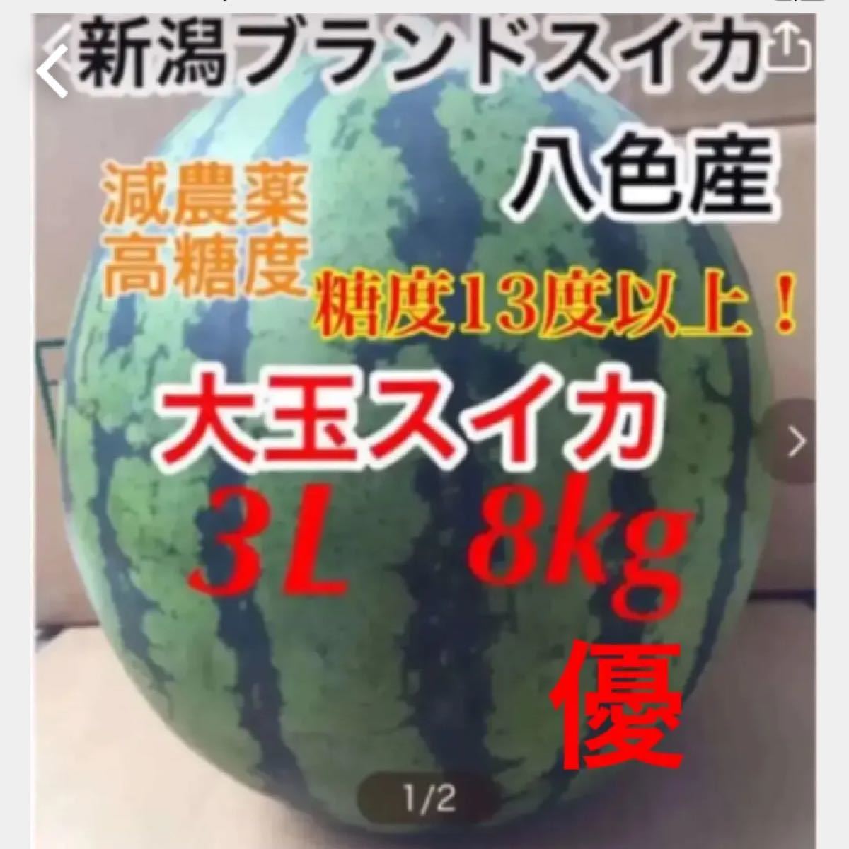 大玉スイカの最高傑作 羅皇 11 12kg Yu 特大6lサイズ 高級品 特大6lサイズ 大玉スイカの最高傑作 羅皇 11 12kg Yu 特大6lサイズ 高級品 特大6lサイズ