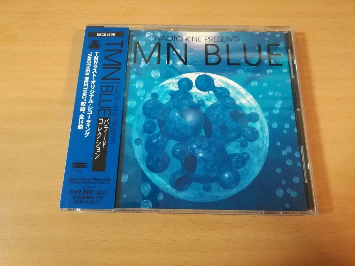 TM NETWORK CD「TMN BLUE木根尚登プレゼンツ」小室哲哉●_画像1